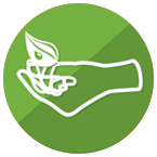 Green-materials-innovative technologies